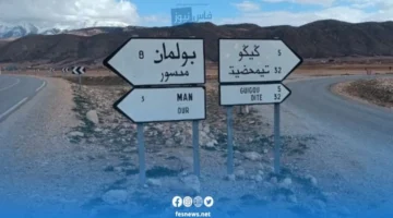 شجرة أرز عملاقة تهدد الحركة على محور طرقي حيوي في بولمان